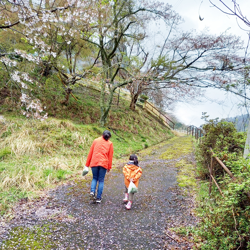 よもぎ摘み、分校への上り坂